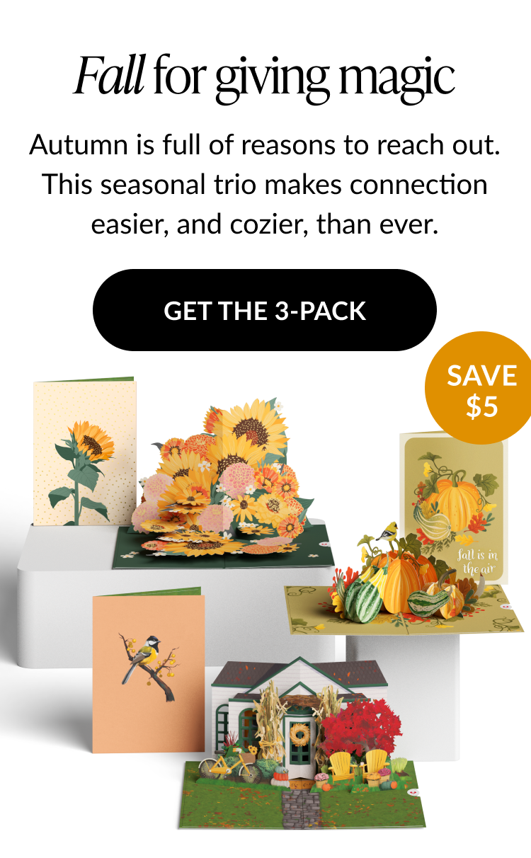 Fall card 3-pack featuring a sunflower bouquet card, gourd design card, and fall welcome house card with “Save $5” badge.