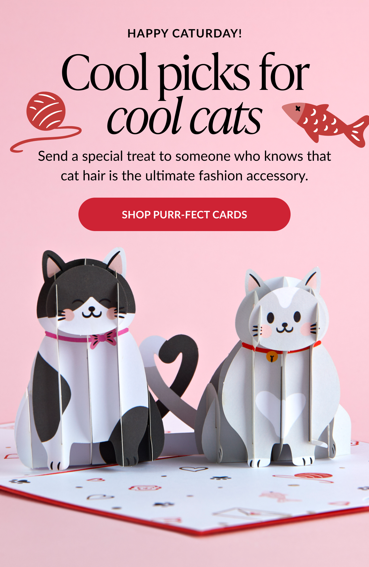 Two pop-up cats with 