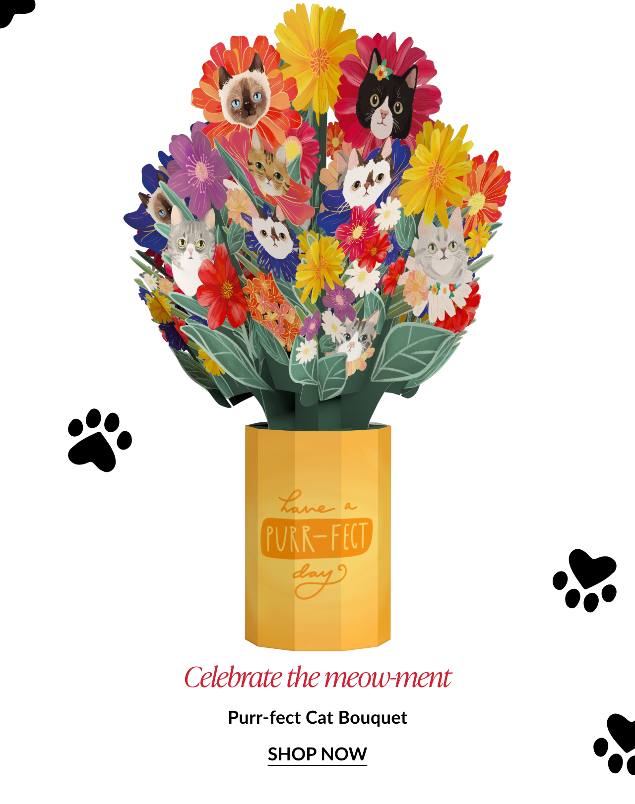Colorful pop-up flower bouquet with cat faces, headline 