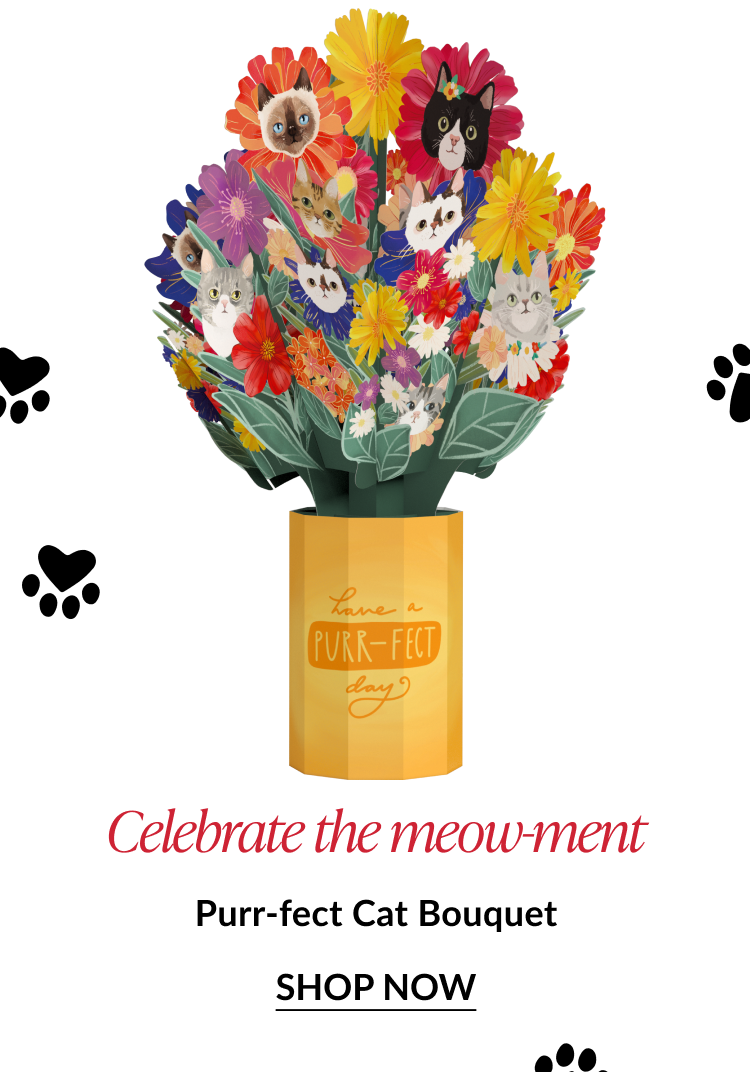 Colorful pop-up flower bouquet with cat faces, headline 