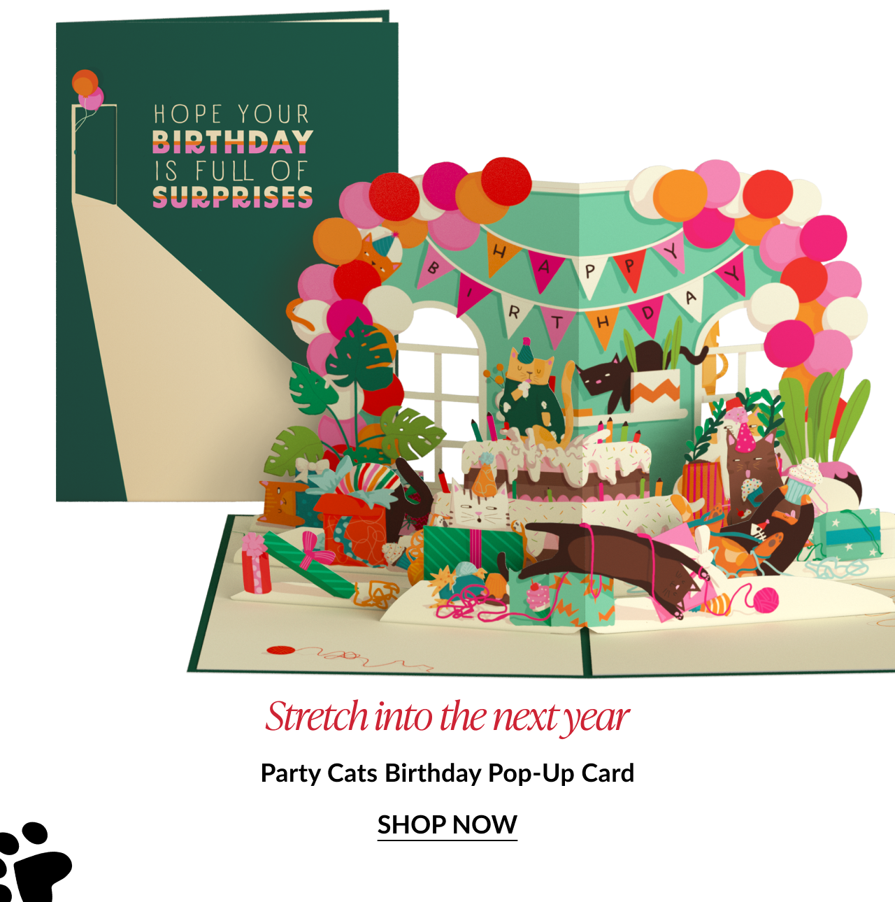 Pop-up birthday card with cats celebrating, headline 