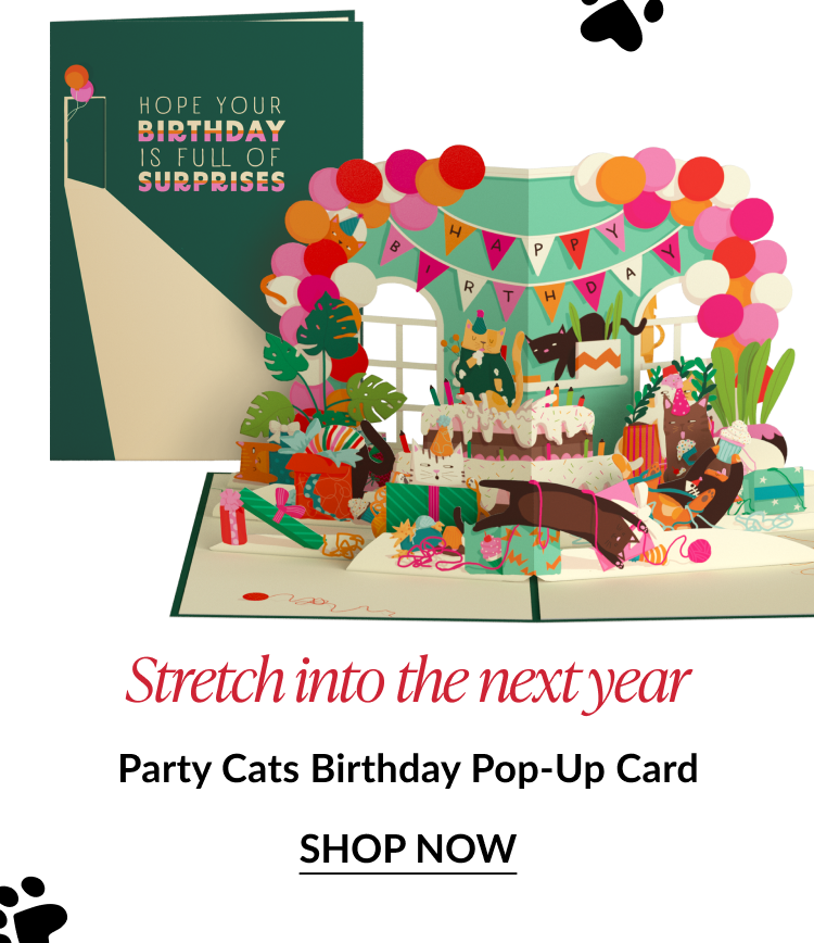 Pop-up birthday card with cats celebrating, headline 