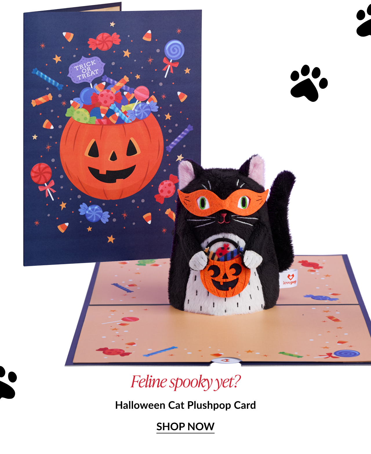 Halloween cat plushpop card with candy bucket and jack-o’-lantern background