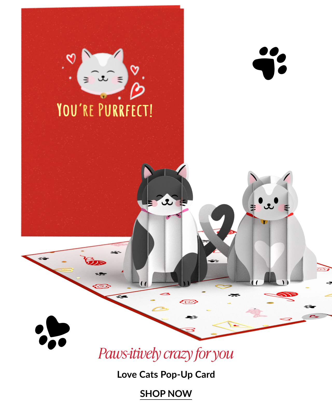 Love Cats pop-up card with two cats and 