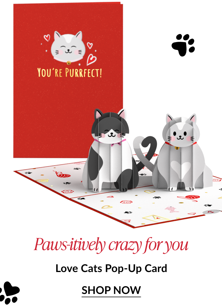 Love Cats pop-up card with two cats and 