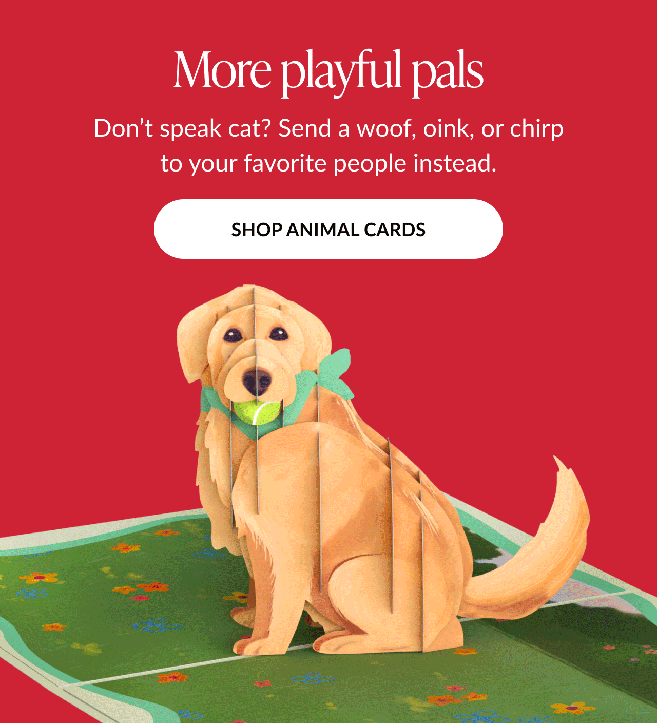 Golden retriever pop-up card on green grass, headline 