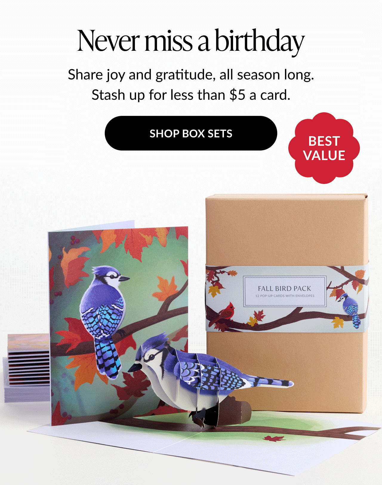 Never miss a birthday fall box set with blue jay pop-up card and envelopes