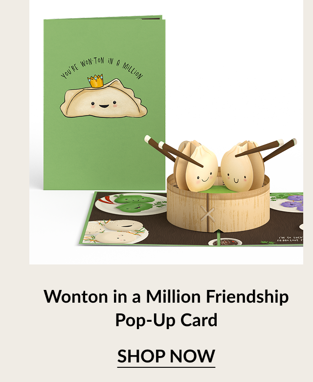 Wonton in a Million Friendship Pop-Up Card with smiling dumplings and chopsticks. Button: Shop now