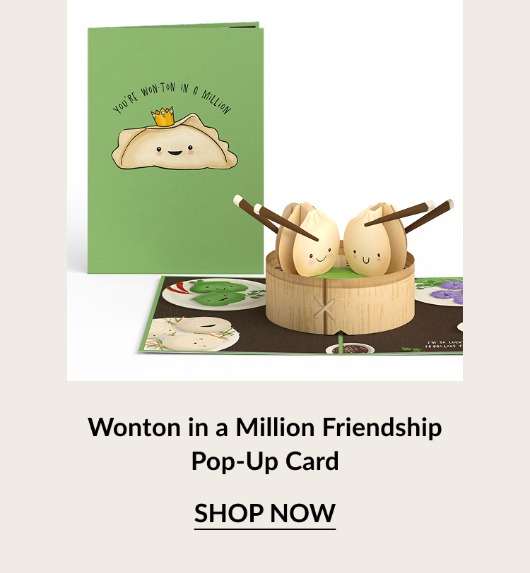 Wonton in a Million Friendship Pop-Up Card with smiling dumplings and chopsticks. Button: Shop now
