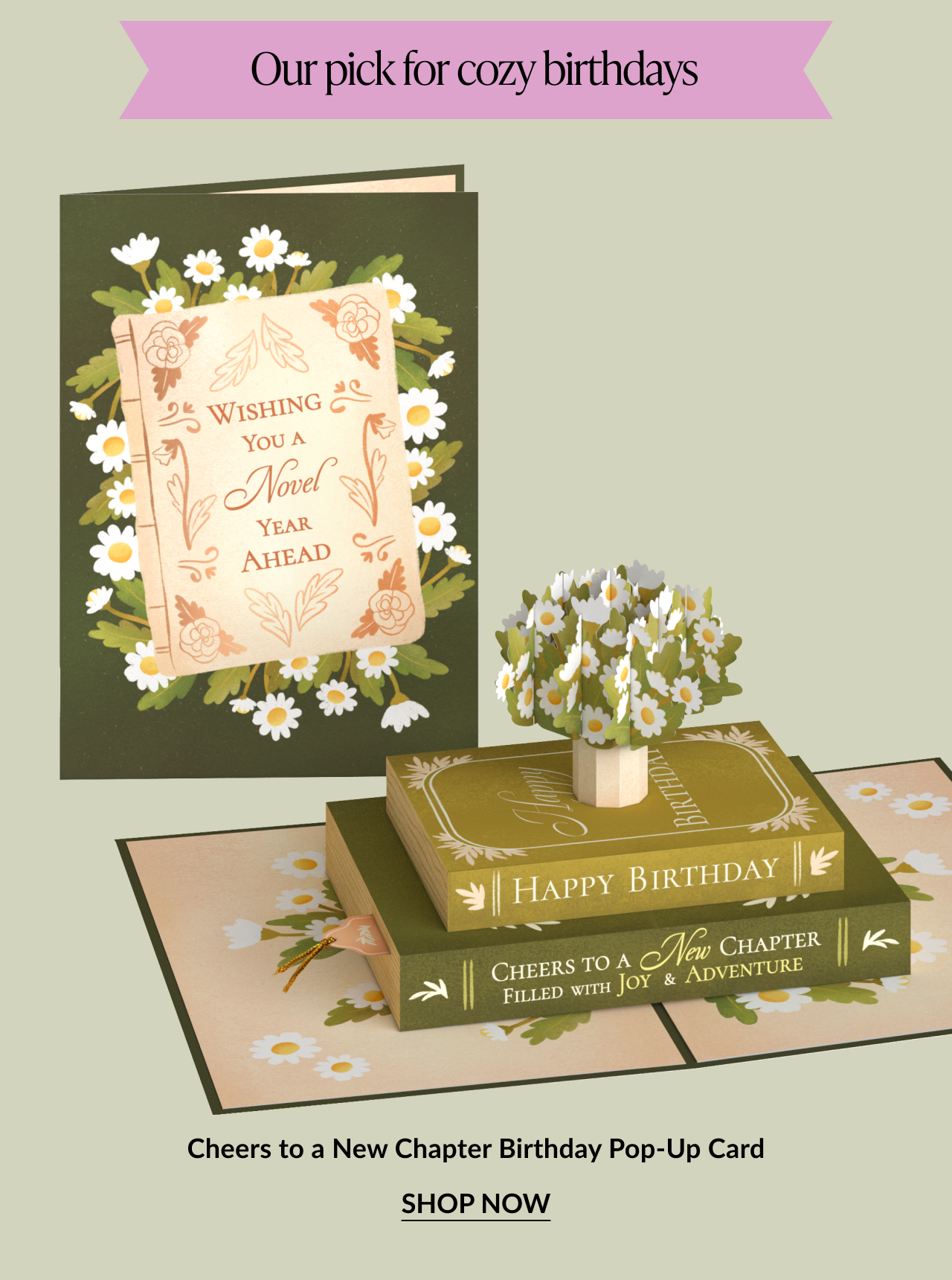 Cheers to a New Chapter Birthday pop-up card with stacked books and daisies