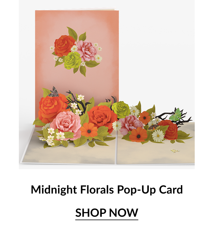 Midnight Florals Pop-Up Card with colorful flowers in shades of red, pink, and green