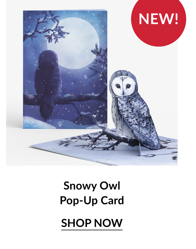 Snowy Owl Pop-Up Card with white owl perched on snowy branch under moonlight