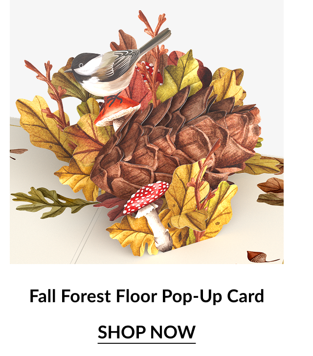 Fall Forest Floor Pop-Up Card with bird, mushrooms, and autumn leaves