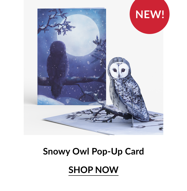 Snowy Owl Pop-Up Card with white owl perched on snowy branch under moonlight