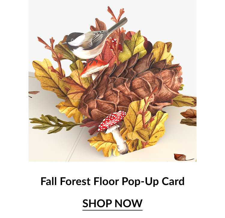 Fall Forest Floor Pop-Up Card with bird, mushrooms, and autumn leaves