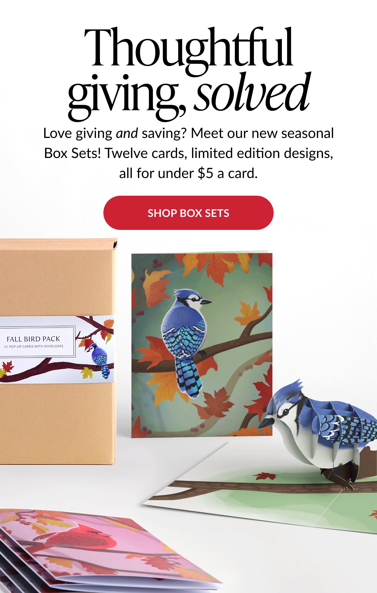 Header with text “Thoughtful giving, solved” promoting seasonal box sets; red button reads “SHOP BOX SETS.” Image below shows a Fall Bird Pack box with a blue jay pop-up card and matching card designs.