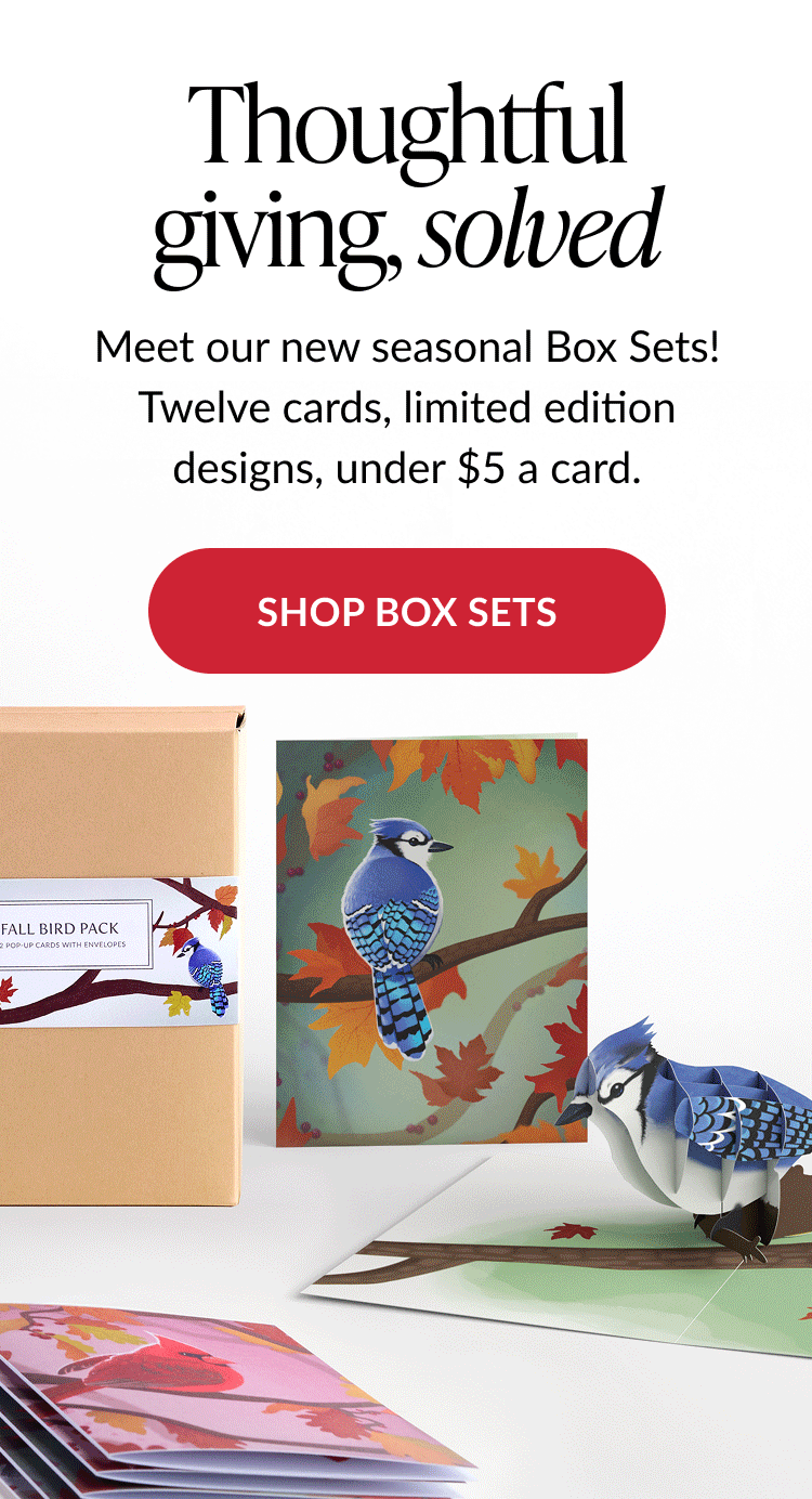 Header with text “Thoughtful giving, solved” promoting seasonal box sets; red button reads “SHOP BOX SETS.” Image below shows a Fall Bird Pack box with a blue jay pop-up card and matching card designs.