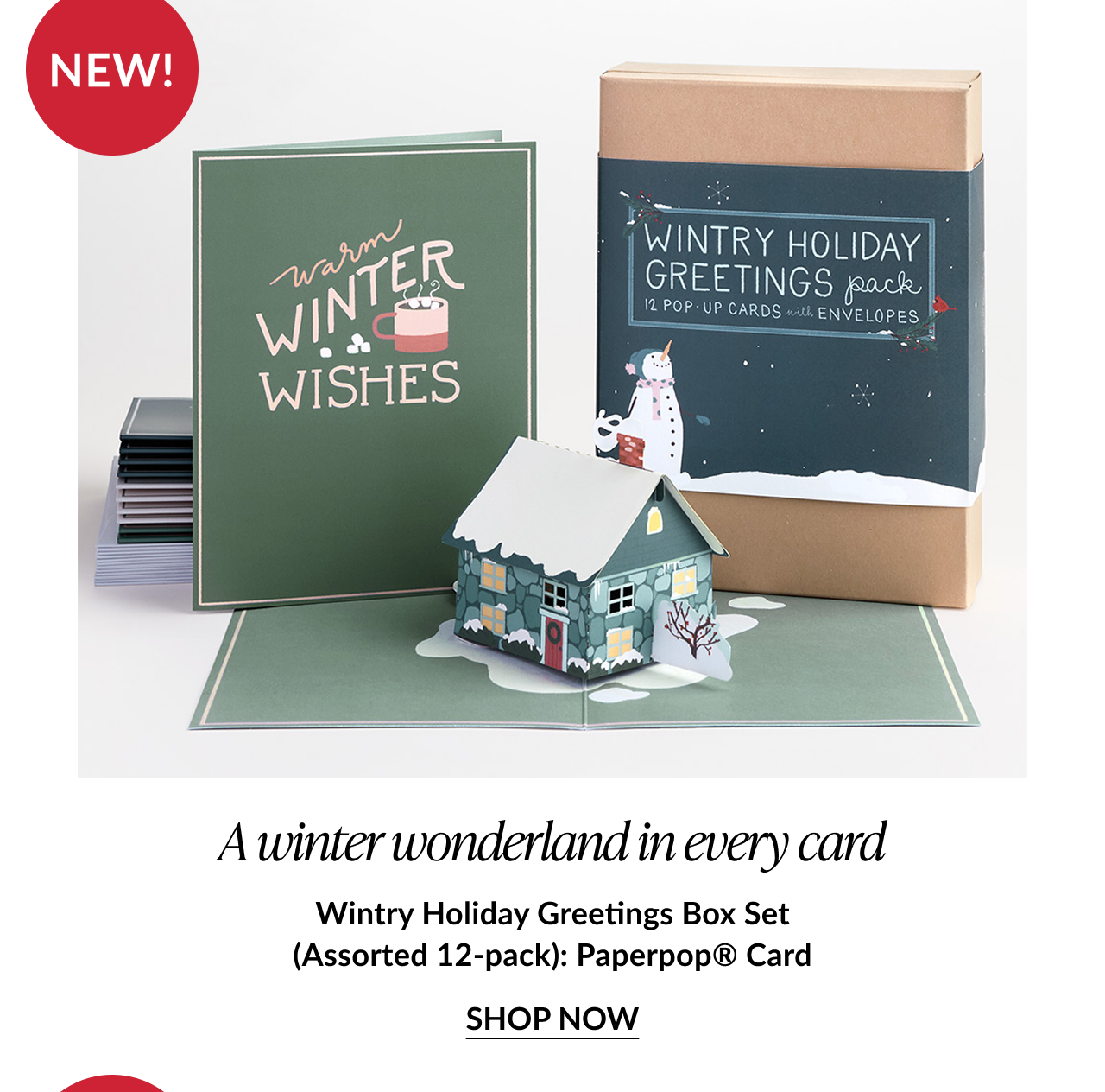 Wintry card and box set display with “Warm Winter Wishes” card and a 3D snowy house pop-up; labeled “NEW! Wintry Holiday Greetings Box Set.”