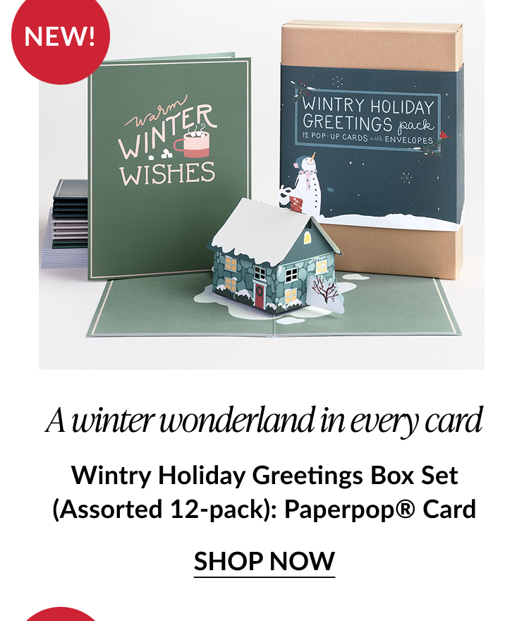Wintry card and box set display with “Warm Winter Wishes” card and a 3D snowy house pop-up; labeled “NEW! Wintry Holiday Greetings Box Set.”