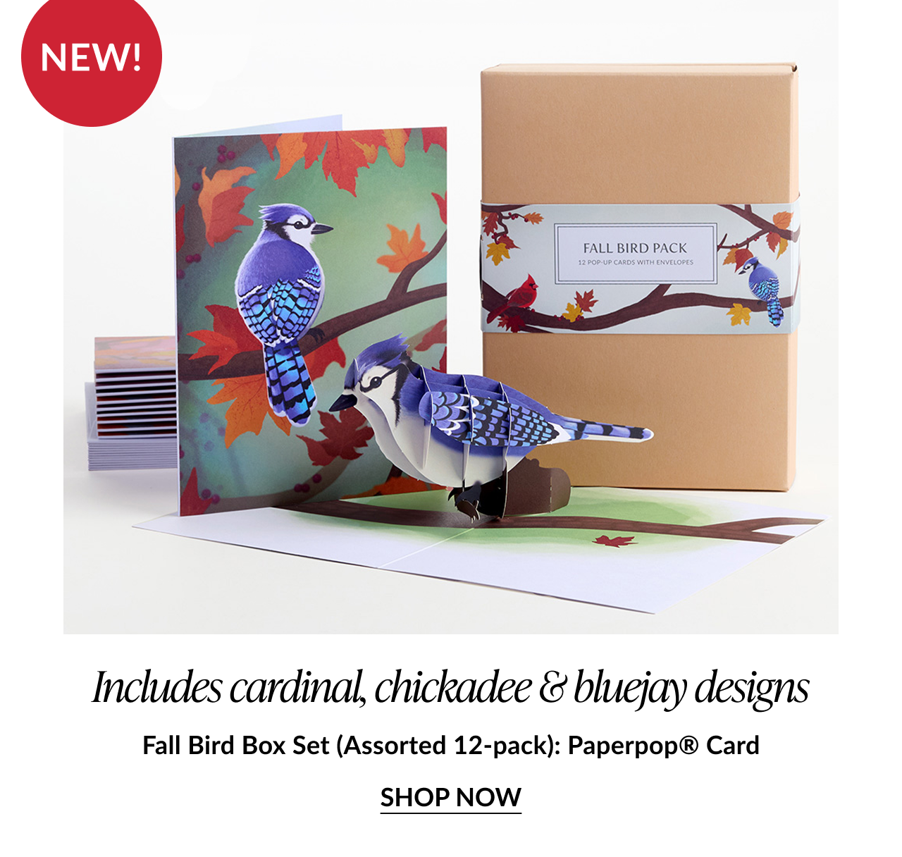 Fall-themed box set image with a blue jay pop-up card, red leaves, and packaging labeled “Fall Bird Pack”; caption notes it includes cardinal, chickadee, and bluejay designs.