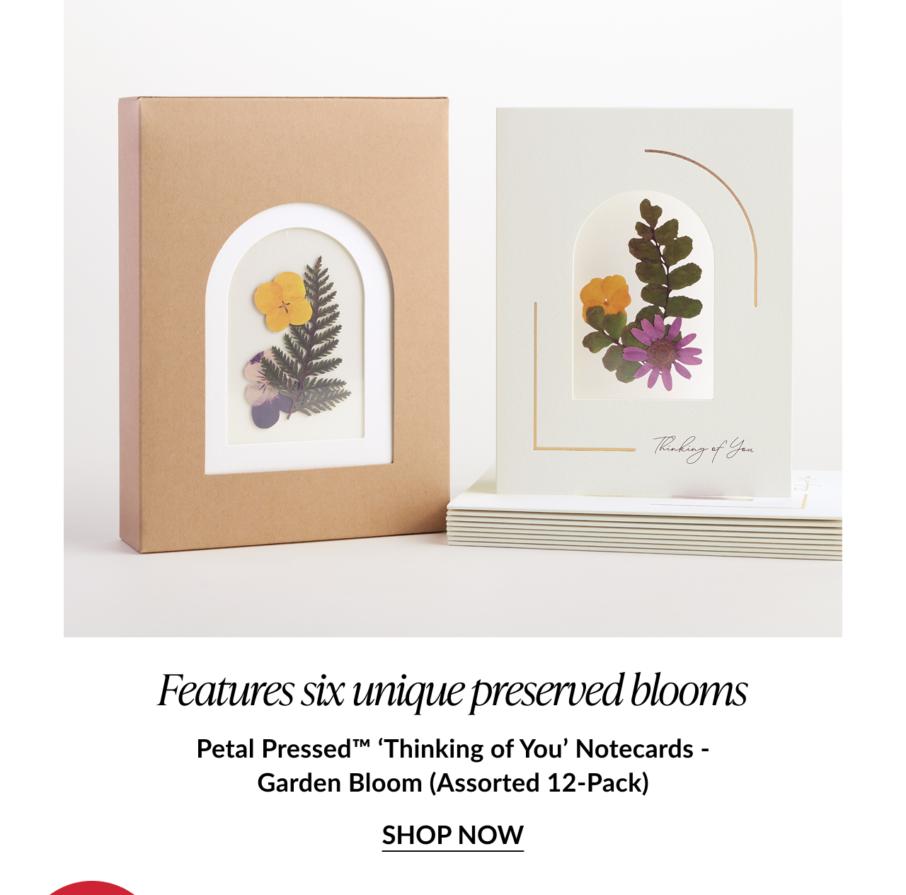 Garden Bloom notecard set with real pressed flowers framed in cream cardstock; caption highlights “six unique preserved blooms.”