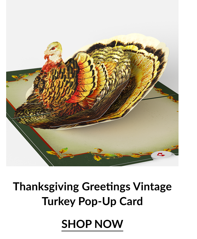 Realistic 3D turkey pops up from a vintage-style Thanksgiving card with a green and gold border.