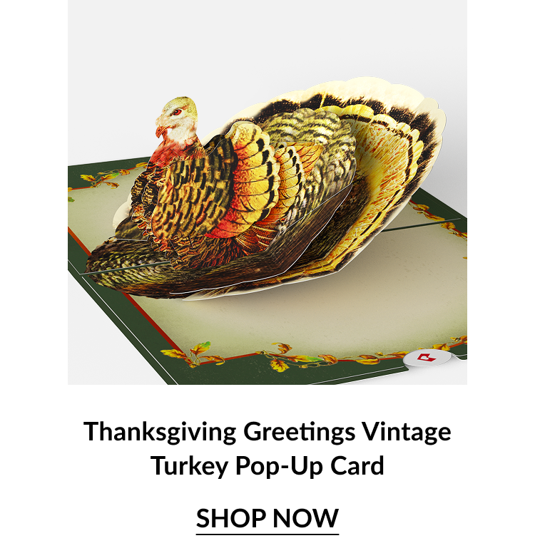 Realistic 3D turkey pops up from a vintage-style Thanksgiving card with a green and gold border.