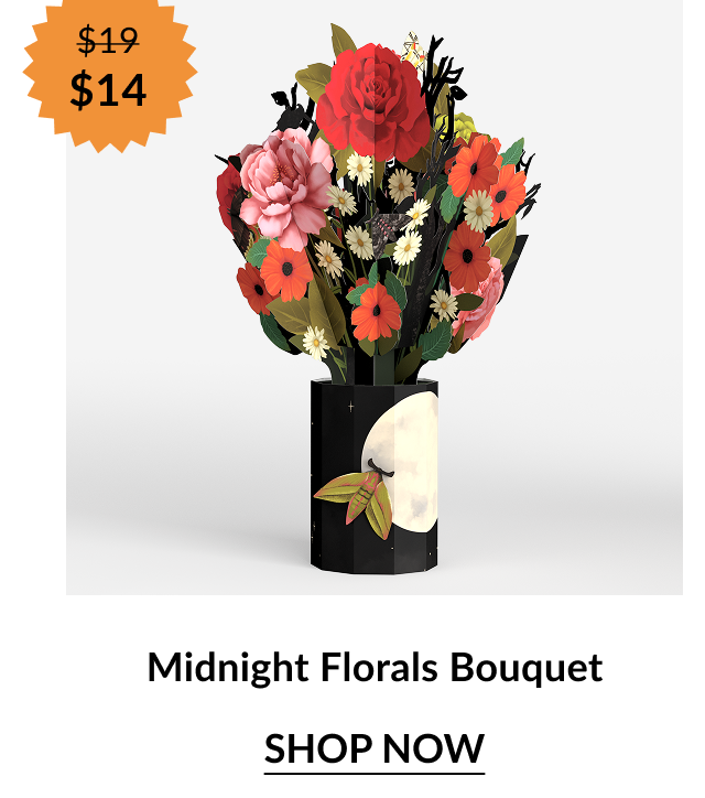 Midnight Florals Bouquet with red, orange, and cream flowers in a black vase featuring a full moon design. Orange sale badge shows “$19 → $14.”