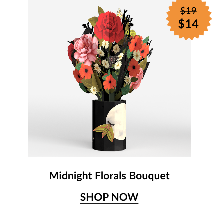 Midnight Florals Bouquet with red, orange, and cream flowers in a black vase featuring a full moon design. Orange sale badge shows “$19 → $14.”