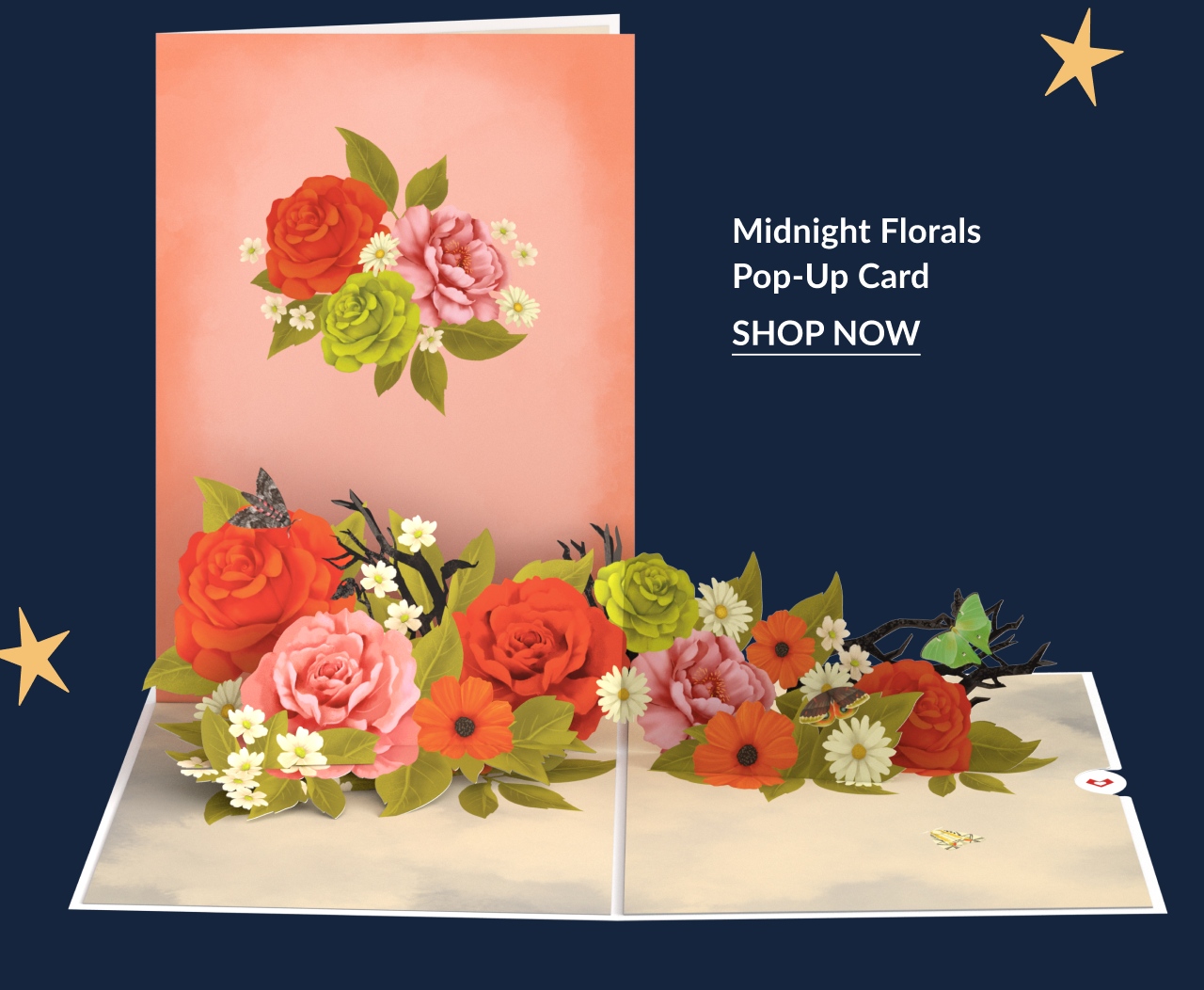Midnight florals pop up card with orange and pink flowers