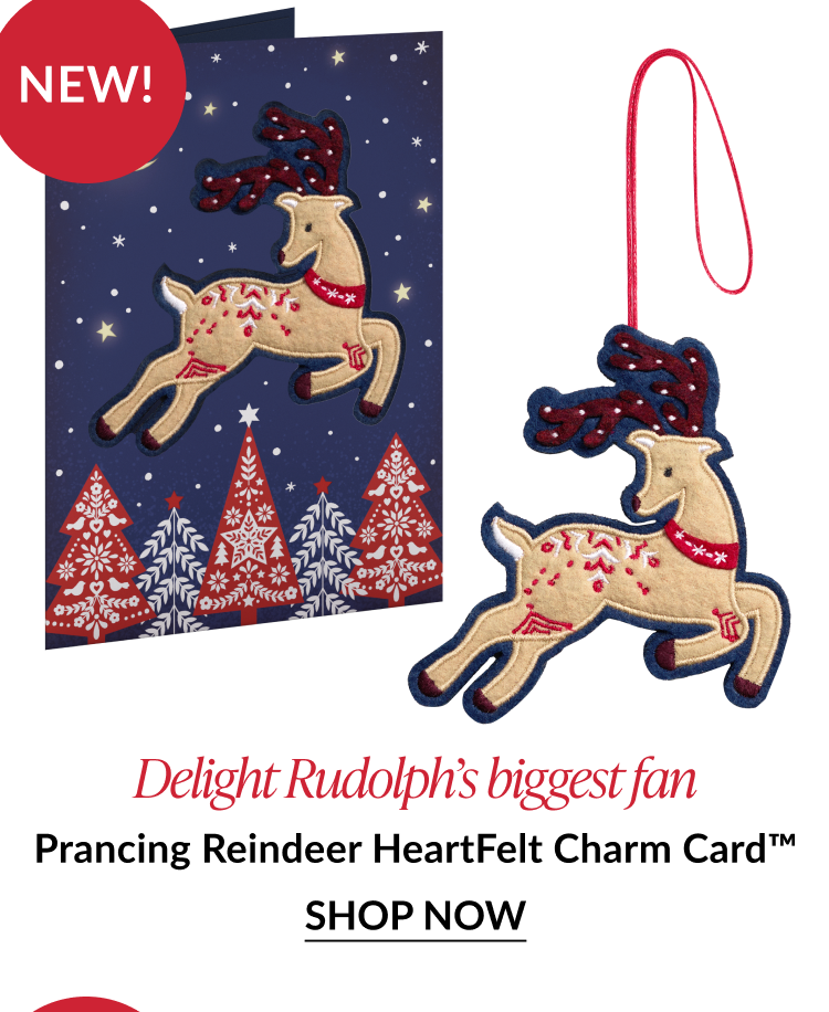 Prancing reindeer card with matching ornament