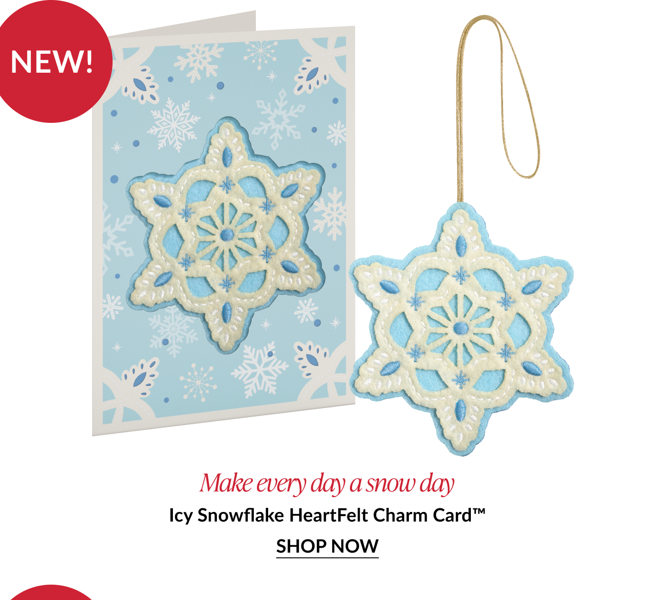 Icy snowflake card with matching ornament
