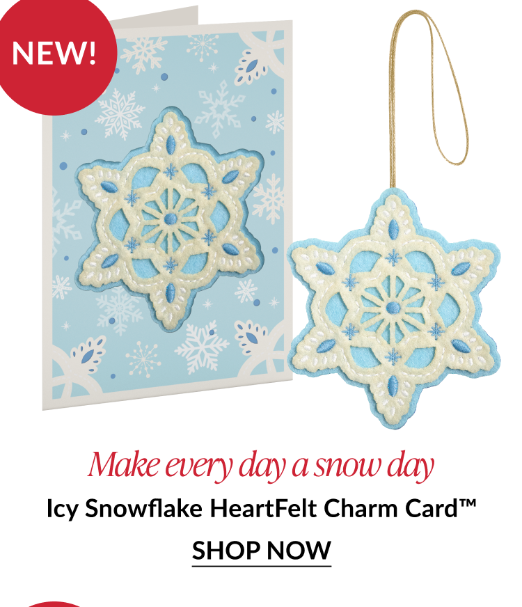 Icy snowflake card with matching ornament