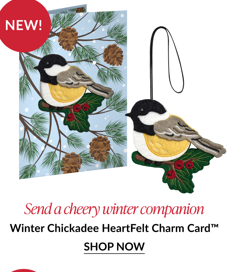 Winter chickadee card with matching ornament