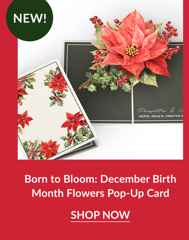december birth month flowers pop up card