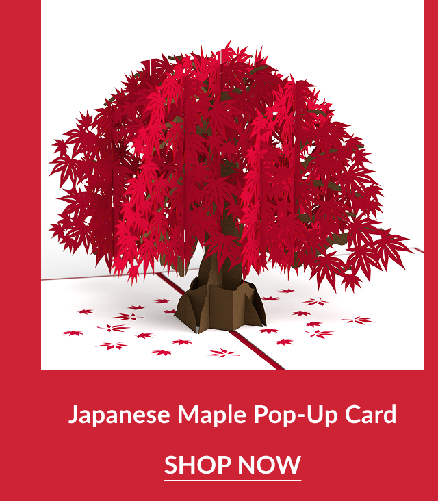 japanese maple tree pop up card with red leaves