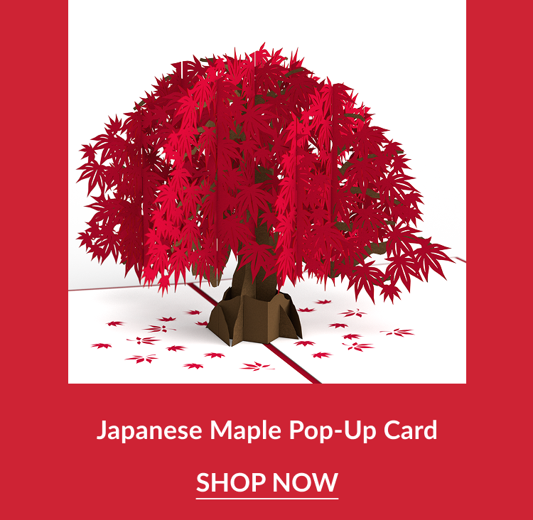 japanese maple tree pop up card with red leaves