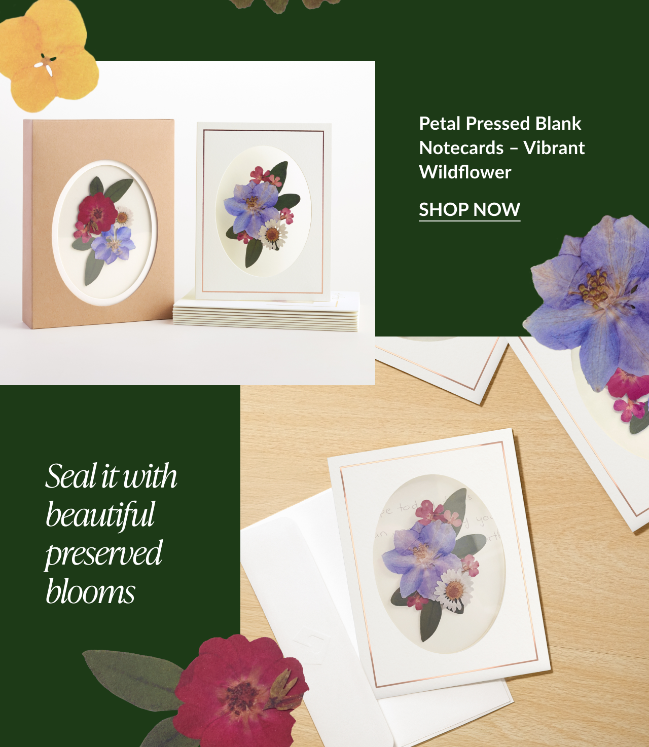 Vibrant Wildflower notecards shown with pressed floral designs and natural packaging