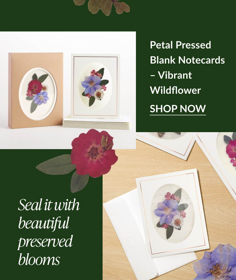 Vibrant Wildflower notecards shown with pressed floral designs and natural packaging
