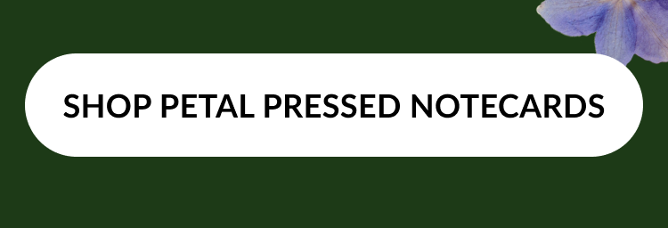 Shop Petal Pressed Notecards button on green background with floral accents