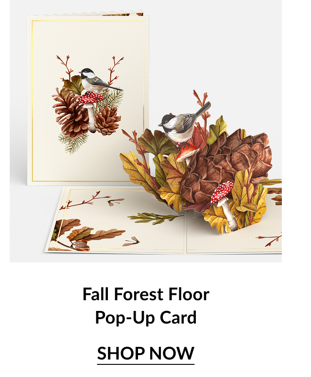 Fall Forest Floor card with birds, pinecones, autumn leaves, and red mushrooms