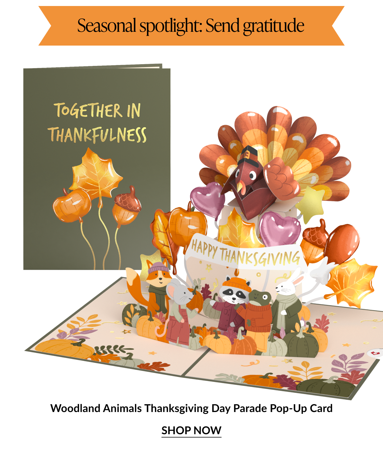 Thanksgiving pop up card featuring a turkey and woodland animals surrounded by pumpkins and leaves with Together in Thankfulness message and Seasonal Spotlight banner