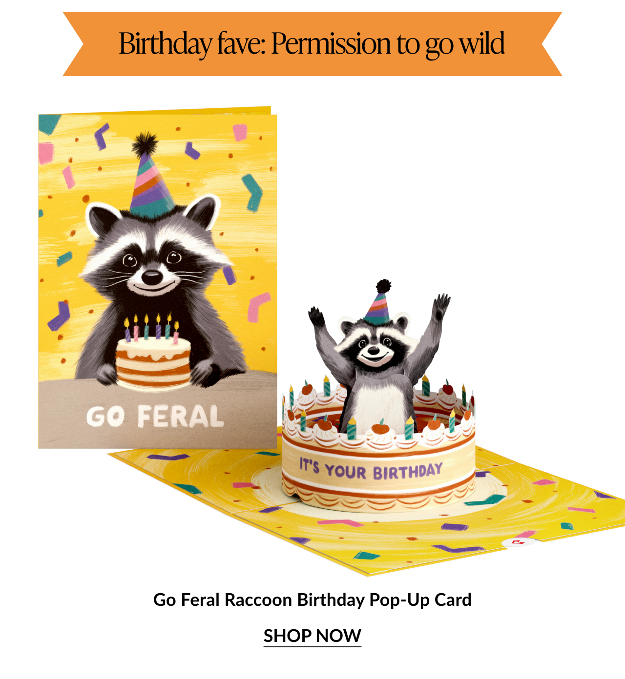 Go Feral Raccoon Birthday Pop Up Card featuring a smiling raccoon in a party hat emerging from a birthday cake with Birthday fave Permission to go wild banner and Shop Now button
