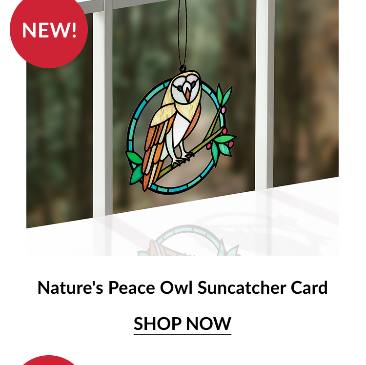 Nature's Peace Owl Suncatcher Card with a stained glass owl perched on a branch in a blue circular frame