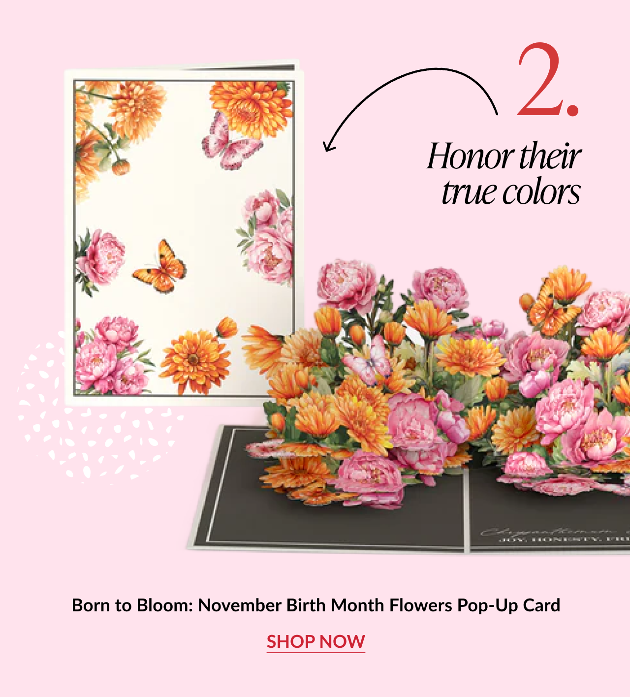 November Birth Month Flowers Pop-Up Card with vibrant pink and orange florals and butterflies