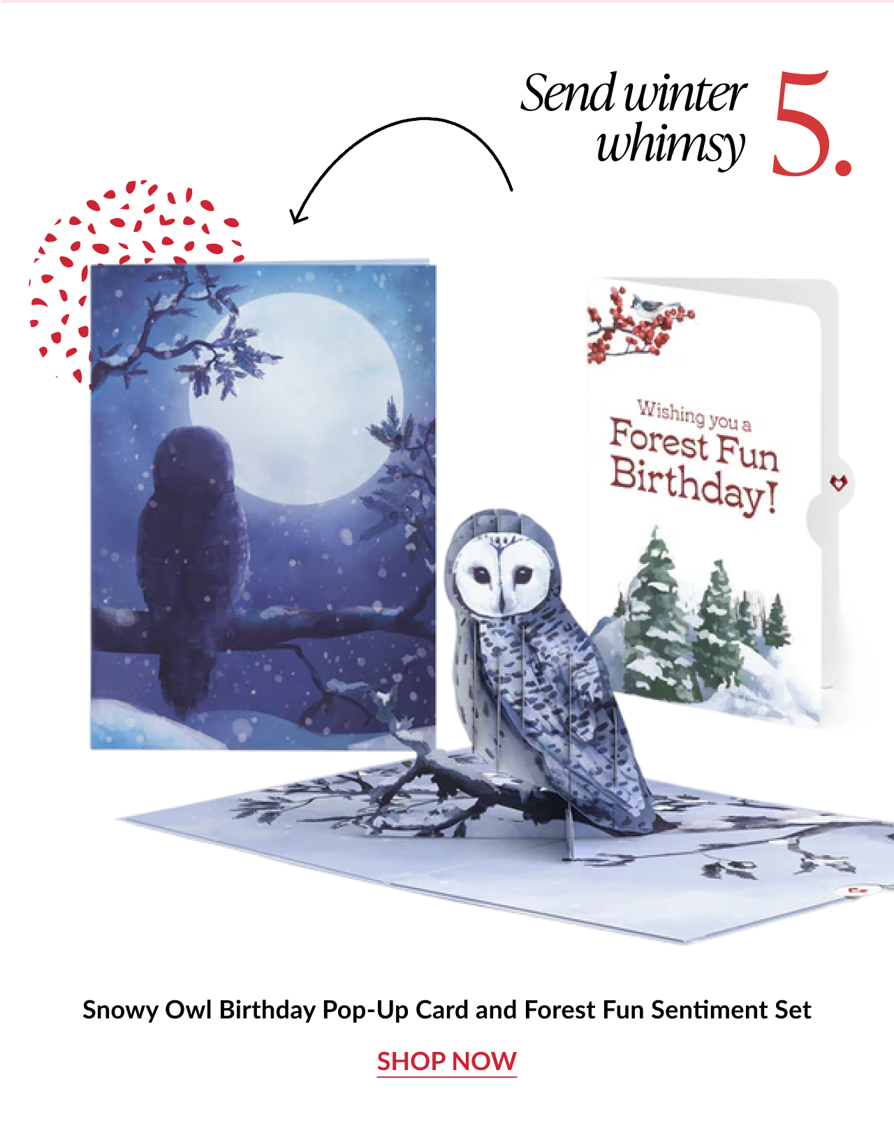 Snowy Owl Birthday Pop-Up Card and Forest Fun Sentiment Set with owl perched on winter branch
