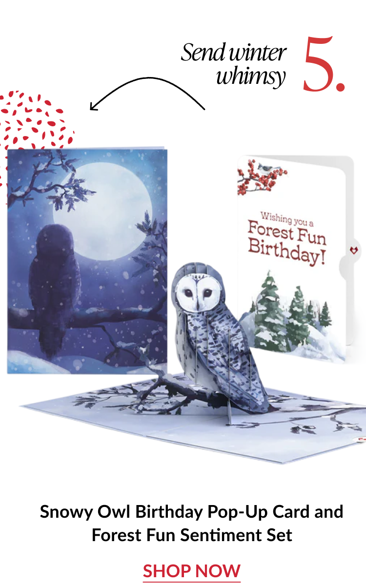 Snowy Owl Birthday Pop-Up Card and Forest Fun Sentiment Set with owl perched on winter branch