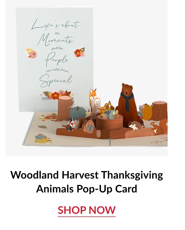 Woodland Harvest Thanksgiving Animals Pop Up Card with forest animals scene and shop now