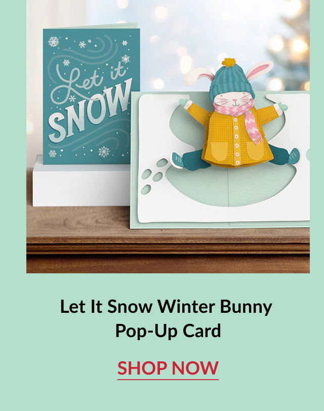 Let It Snow Winter Bunny Pop Up Card with winter bunny scene and shop now