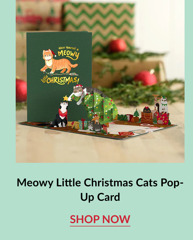 Let It Snow Winter Bunny Pop Up Card with winter bunny scene and shop now